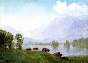 Albert Bierstadt Buffalo Country Germany oil painting artist